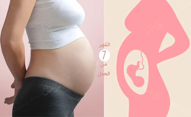 لماذا تشعر الحامل بالثقل في الشهر السابع؟