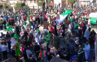 الحراك الشعبي في أسبوعه الخامس : خروج الملايين لحماية روح الحراك