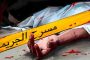 تباين مواقف الأحزاب السياسية حول تفعيل المادة 102 من الدستور