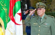 قايد صالح يؤكد أن حل الأزمة السياسية يكمن في تطبيق المادة 102من الدستور