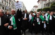 المحامون يدعمون الحراك الشعبي بمقاطعة جلسات المحاكمات