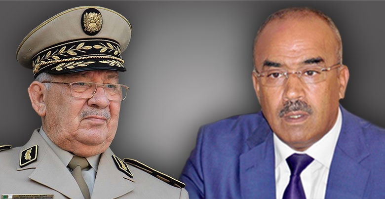 نور الدين بدوي دمية القايد صالح المفضلة