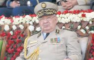 تهم القتل والفساد تلاحق أبناء القايد صالح فمن سيحاكمهم