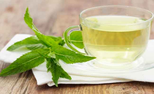 منافع شرب الشاي الأخضر رمضان