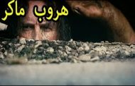مذكرات مثقف وشيكور في بلاد ميكي / الحلقة العشرون  : هروب ماكر