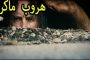 كوريا الشمالية تستعرض عضلاتها وتهاجم ترامب