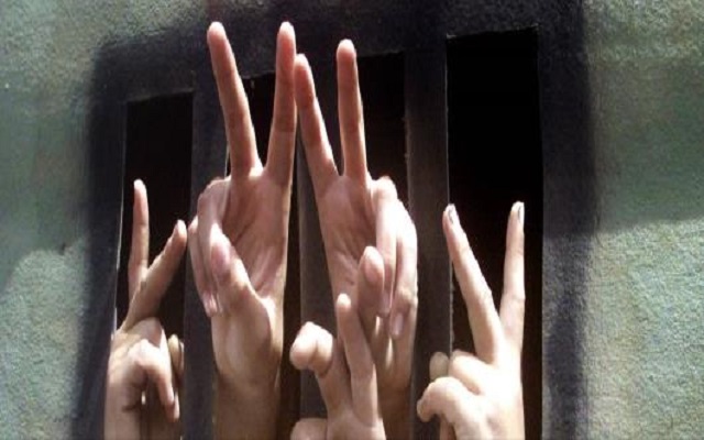 مذكرات مثقف و شيكور في بلاد ميكي / الحلقة السادسة :  في سبيل الحرية والعيش الكريم لابد من التضحيات