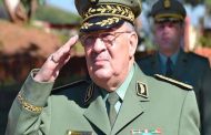 قايد صالح : الجيش سيواصل مرافقته للشعب 