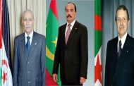 مذكرات مثقف وشيكور في بلاد ميكي / الحلقة التاسعة والعشرون  : الكوكايين هو ما يجمع بين جنرالات الجزائر وموريتانيا