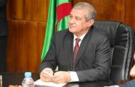 بن صالح يكلف حسان رابحي بتولي مهام وزير الثقافة بالنيابة خلفا لمريم مرداسي