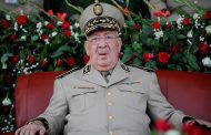 القايد صالح أنا ملك الجزائر ومن لايزال يخرج في المظاهرات فهو من العصابة !!!