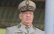 قايد صالح : 