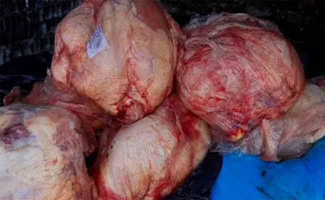 حجز أزيد من قنطار من الدجاج الفاسد كان موجها للاستهلاك بسكيكدة