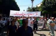 الحراك الشعبي في جمعته الـ29 : رفض للانتخابات و مطالبة بالتغيير الجذري