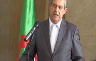 رابحي : 