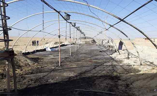 حريق ببيت بلاستيكي لتربية الدواجن بالمسيلة يخلف قتيلا و خسائر معتبرة