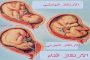 في لاهاي مصر تهاجم قطر