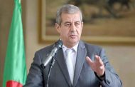 رابحي : 