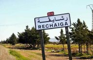 تقديم 15 محتجا للعدالة بتهمة الإخلال بالنظام العام بتيارت