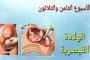 الشعب الجزائري  فضل القعود على خازوق الدكتاتور القايد صالح