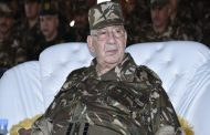 مع اقتراب سقوط القايد صالح مجلسا الصحفيين والمحاميين يعودان لركوب موجة المظاهرات