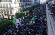 الحراك الشعبي في جمعته الـ41 : رفض قاطع للإنتخابات و مطالب بالتغيير الجذري