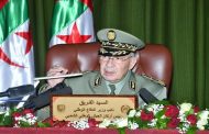 قايد صالح : 