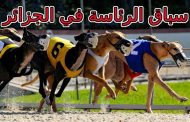 هذان الكلبان هما المفضلين للقايد صالح  من الكلاب الخمسة في الانتخابات الرئاسية