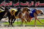 باتباع هذه النصائح ستحصلين على شعر طويل وجذاب...