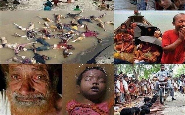 نعم استخدمنا قوة مفرطة ضد المسلمين