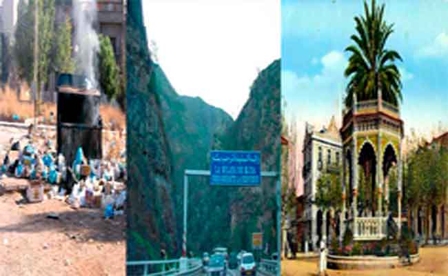 سكان