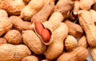 هل يمكن لمريض السكري تناول الفول السوداني...؟