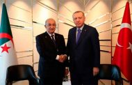 تبون يجري محادثات مع نظيره التركي أردوغان