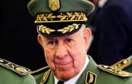 صدور مرسوم رئاسي يكلف شنقريحة بمهام رئيس أركان الجيش الوطني الشعبي بالنيابة 