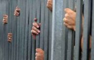 عفو رئاسي ثاني : العفو على 6294 سجينا
