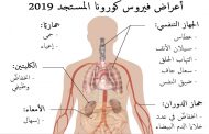 متى تبدأ أعراض فيروس كورونا المستجدّ بالظهور...؟