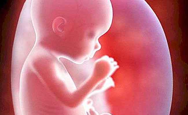 كيف يتطوّر جنينكِ خلال الأسبوع الـ15 من الحمل...؟