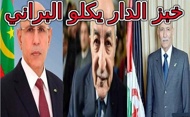 سكان البليدة سنموت بالجوع قبل أن تقتلنا كورنا وتبون علينا جمع التبرعات لدعم دول الجوار
