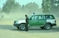 العثور على طفلة فقدت بغابة ربيعة بالمدية في حالة جيدة