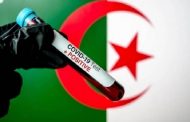 أهل الاختصاص 20 أبريل ذروت فيروس كورنا بالجزائر وعدد اختبارات قليل جدا