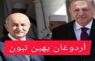 في اتصال هاتفي أردوغان يخاطب تبون بالكرغلي ويذكره بهزائم حفتر