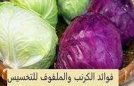 كيف يساعدكم الملفوف على انقاص الوزن الزائد...؟