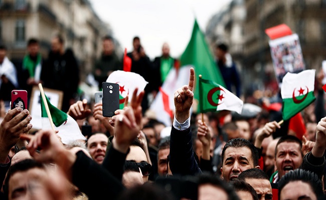 الحل الوحيد في الجزائر هو قطع رأس الأفعى وليس بتركها تغير جلدها