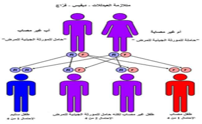 هل يمكن لمريض الأنيميا المنجلية الزواج...؟