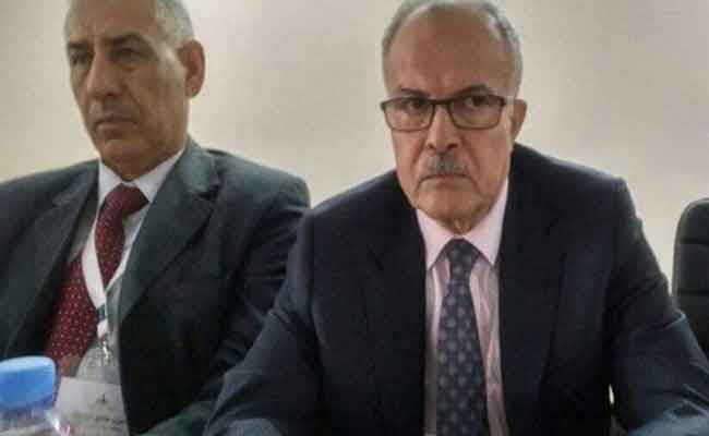 سعدي : الدستور الجديد يحتاج إلى انخراط جميع الجزائريين