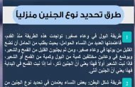 هل من الممكن أن تعرفي نوع الجنين في البيت...؟