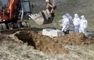 الجزائر تستفسر الدول العظمى عن اللقاح قبل وقوع الكارثة