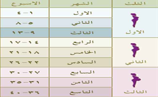 الأسبوع الـ15 من الحمل... أي شهرٍ يكون؟