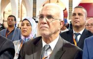 شرفي يؤكد أن إنشاء لجنة حكومية للمساعدة في تنظيم الاستفتاء جاء بطلب من السلطة الوطنية المستقلة للانتخابات