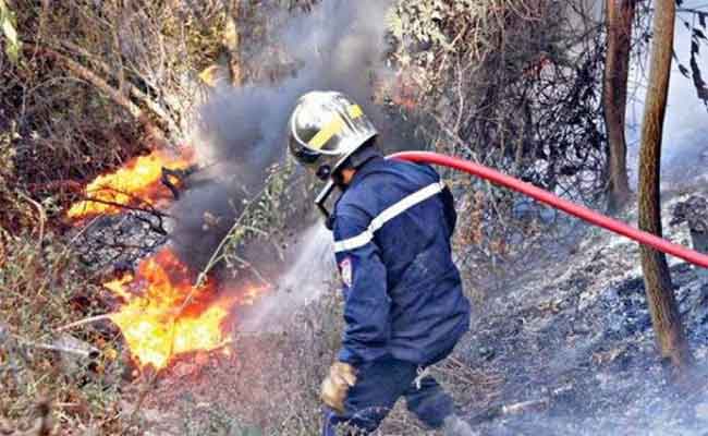 تسخير الحماية المدنية لإمكانيات معتبرة لمكافحة حرائق الغابات
